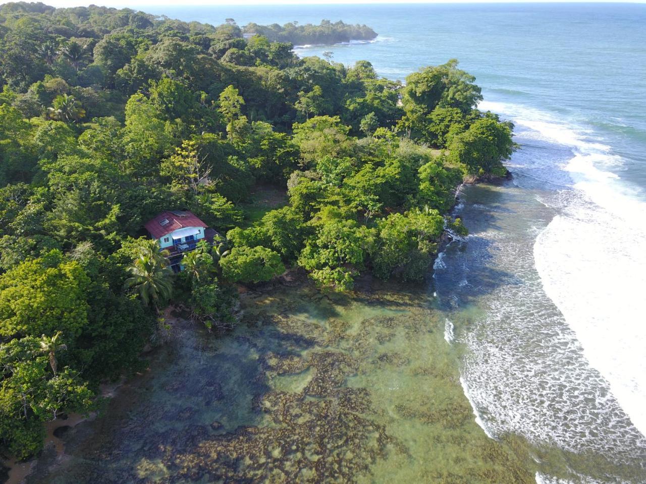 Mosana Reef Garden B&B Bocas Town Bagian luar foto