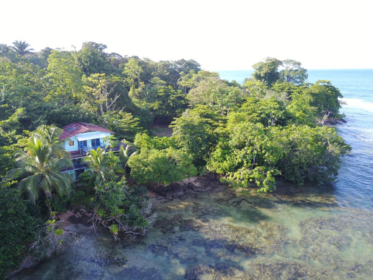 Mosana Reef Garden B&B Bocas Town Bagian luar foto