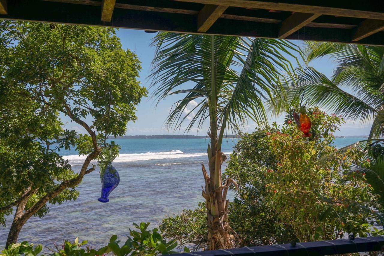 Mosana Reef Garden B&B Bocas Town Bagian luar foto