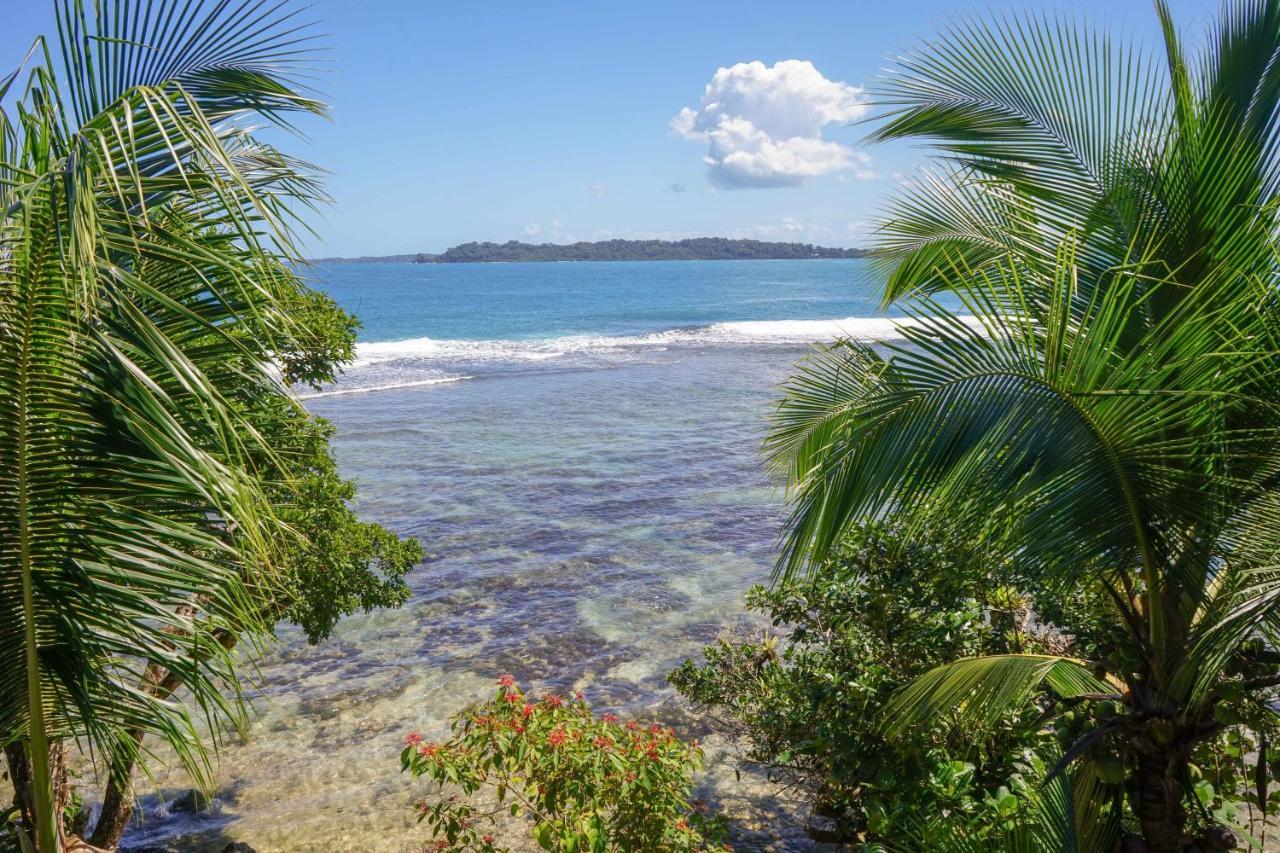 Mosana Reef Garden B&B Bocas Town Bagian luar foto